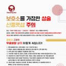 천안 강아지분양 도로시펫 이미지