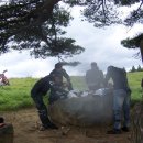 고목목장 이미지