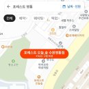 포레스트 오늘,숲 수원영통점
