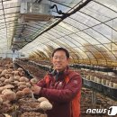 선우농장 이미지