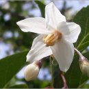 연산동고분군 이미지