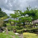 산수유피는마을 | 청주 가마솥 곤드레 밥 ‘산수유 피는 마을’ n 번째 방문 내돈내산 솔직 후기