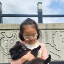 퍼피랜드애견카페 이미지