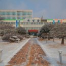255 팍스경제TV