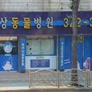 사상동물병원 이미지