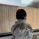 고유시차 이미지