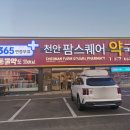 6688 | 천안 대형약국 팜스퀘어 솔직후기 | 창고형 약국 가격, 주차, 영업시간 정리