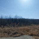 영천시북안면보건지소 이미지