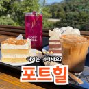 [강원/원주] 원주 대형카페 :: 루프탑이 있는 소금산 출렁다리뷰 포트힐 후기