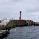 하례망장포로 이미지