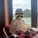 행복한 휴식 홈케어 | 새댁뷰티🐰 신혼부부 선물 고민 끝! 신혼부부선물추천 1순위 슬룸 골반마사지기 써본 솔직후기