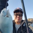 고성2119 이미지