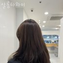 살롱하와이 이미지
