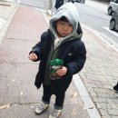 공룡발통 이미지