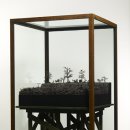 THE 형제 이미지