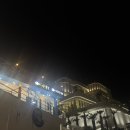 물고기 미포 이미지