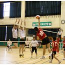 인평초등학교 이미지