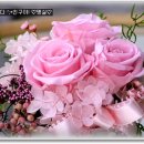 우리들의보물창고