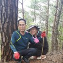 거랑 Daum카페