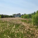 시도리운동장 이미지