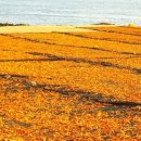 블루호텔 이미지