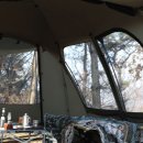 피크닉스 이미지