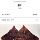 쌍도남의 미러링 단어로 홍어남이라는 단어가 등장했던 어제자 쭉빵 이미지