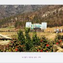 아리랑마을관광지 이미지