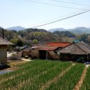 문촌3리 이미지