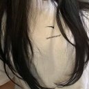 로이드밤 이천점