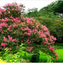 평화마을 이미지