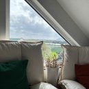 토브앤카라 이미지