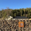 리스테이 연월 이미지