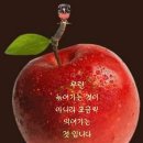 한수 이미지