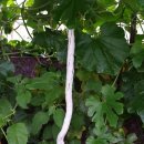 환희농장 이미지