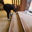 오송애견 이미지