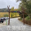 부여 유아숲체험원 이미지