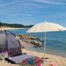 거일1리어촌체험휴양마을 이미지