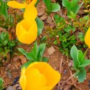 강남제일행정사사무소 이미지