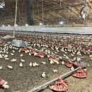 청양군농업기술센터 이미지