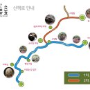 오두산 치유숲 이미지