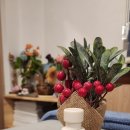 힐링뷰티피부 이미지