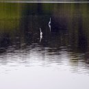 우포늪주차장 이미지