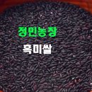 정민농장 네이버블로그