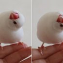 동아식당 이미지