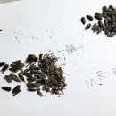 바른치킨군포부곡점 이미지