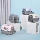 월드켄넬 이미지