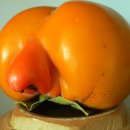 21C당구장 Daum카페