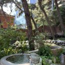 진부령 한증막 이미지