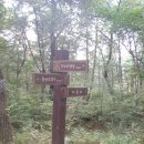 광양용강초등학교 이미지